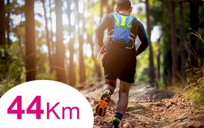 Trail Pleyben 2026 : le 25 octobre 2026 dans le Finistère (29) à Pleyben au gymnase Pierre CLOAREC. Course découverte : 5km. Etape du Challenge Armorik Trail : 15km et 44km.  Mais aussi : randonnée pédestre et courses pour les enfants Organisé par l'APEL de l'école St Joseph de Pleyben