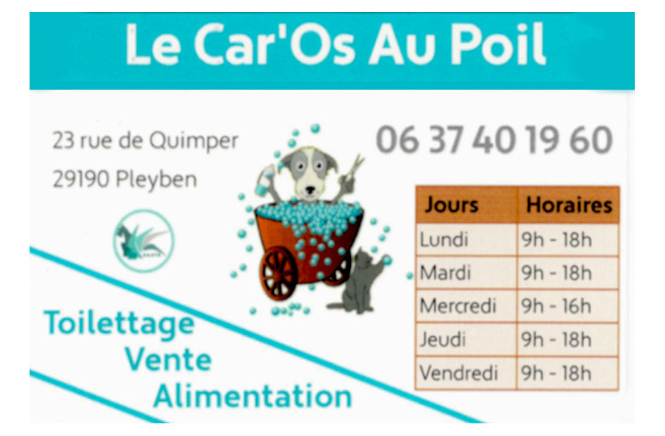 LE CAR'OS AU POIL